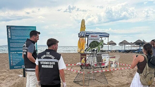 Didim Belediyesi Ekiplerinin Zamanında Müdahalesi Caretta Carettayı Kurtardı