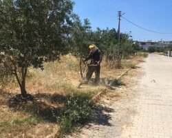 Didim Belediyesi Yeşil Alanlarda Bakım Çalışmalarını Sürdürüyor