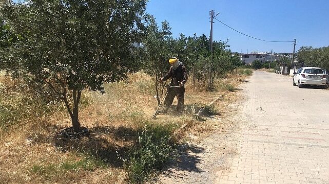 Didim Belediyesi Yeşil Alanlarda Bakım Çalışmalarını Sürdürüyor