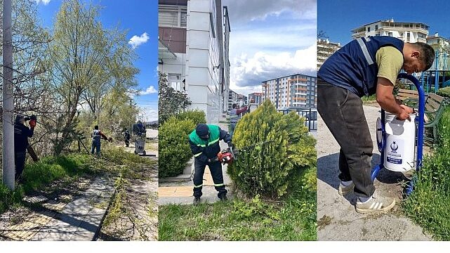 Ekiplerden Kapsamlı Çalışma