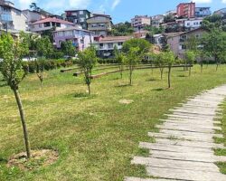 İBB, Park ve Bahçelere Meyve Ağaçları Dikiyor