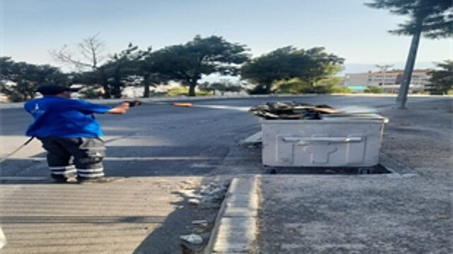 İzmir’de sivrisineğe karşı dev mücadele