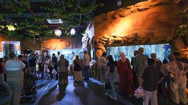 İzmit Millet Bahçesi’nde yeni bir yaşam hikâyesi