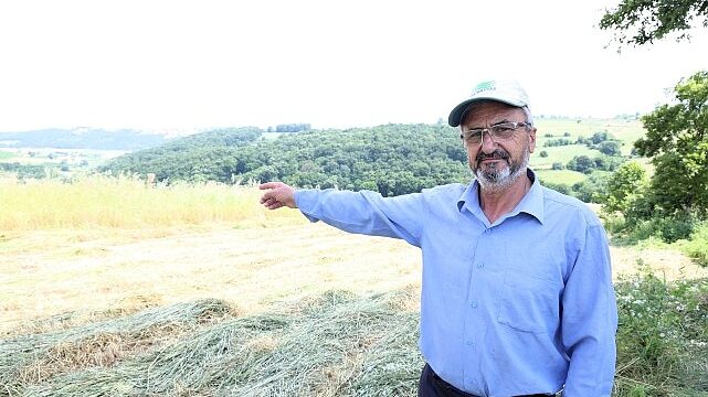 Kocaeli’de “süt otu” hasadı başladı