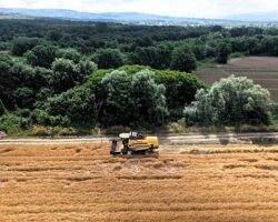 Kocaeli’de tarım, altın çağını yaşıyor