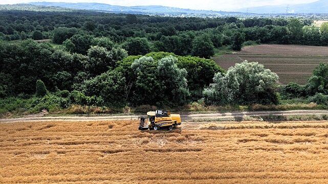 Kocaeli’de tarım, altın çağını yaşıyor