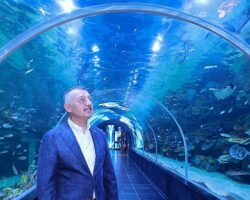 Körfez Aqua Kıtalar Akvaryumu kapılarını açıyor