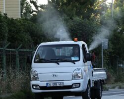 Küçükçekmece’de Sivrisineklere Karşı Mücadele Yoğunlaştı