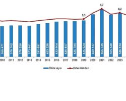 Ölüm ve Ölüm Nedeni İstatistikleri, 2025