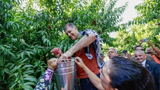 Selçuk’ta Şen Şeftali Şenliği üreticiye umut oldu