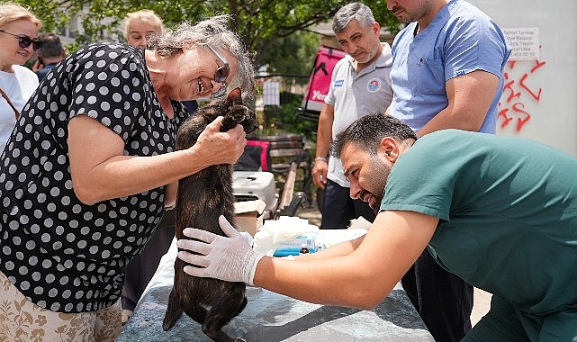Sokak hayvanlarına yerinde sağlık desteği sürüyor