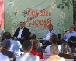 Tirilye’de “Zeytin Çiçeği Festivali”ne Büyük İlgi