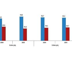 Uluslararası Göç İstatistikleri, 2025