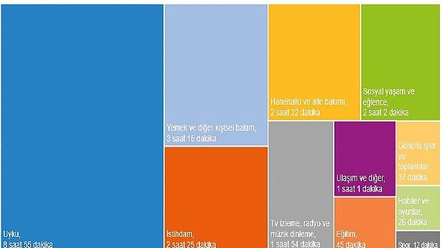 Zaman Kullanım Araştırması, 2025