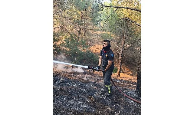 Alevlere karşı ortak mücadele