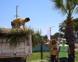 Başkan Çerçioğlu Öncülüğünde Kuşadası’nda Yeşil Alanlarda Kapsamlı Bakım ve Düzenleme Çalışması