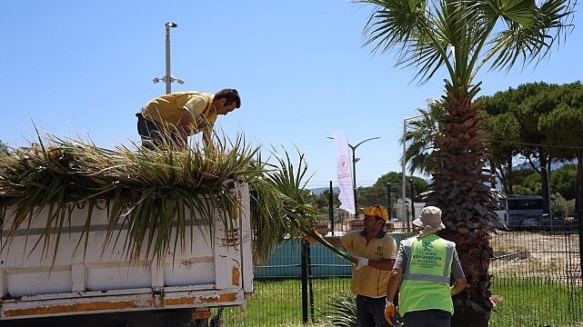 Başkan Çerçioğlu Öncülüğünde Kuşadası’nda Yeşil Alanlarda Kapsamlı Bakım ve Düzenleme Çalışması