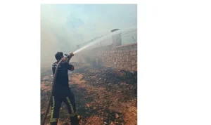 Büyükşehir İtfaiyesi’nden orman yangınına müdahale