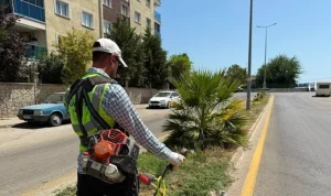 Çeştepe Mahallesi Muhtarından Başkan Çerçioğlu’na Hizmet Teşekkürü