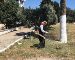 Didim Belediyesi’nden Kente Özenli Dokunuş: Kendi Üretimi Çiçekler Toprakla Buluşuyor