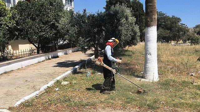 Didim Belediyesi’nden Kente Özenli Dokunuş: Kendi Üretimi Çiçekler Toprakla Buluşuyor