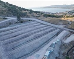 Dikili’ye modern hayvan bakımevi