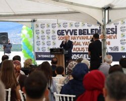 Geyve’de Sokak Hayvanları İçin de Yeni Dönem Başladı