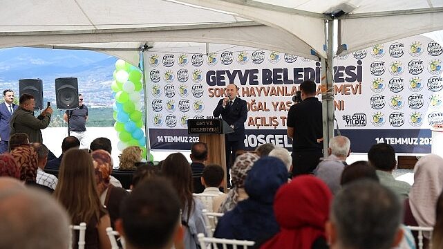 Geyve’de Sokak Hayvanları İçin de Yeni Dönem Başladı