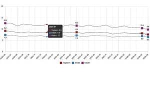 İşgücü İstatistikleri, Haziran 2026