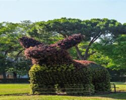 Kültürpark’a doğayla şekillenen yeni simgeler
