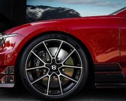 Pirelli, Goodwood’a P Zero Ailesiyle Damga Vuruyor