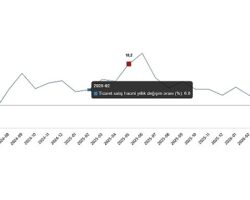 Ticaret Satış Hacim Endeksi, Mayıs 2026