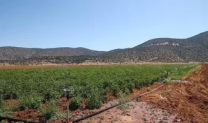 Korkuteli’nin alt yapı kapasitesi güçlendirildi