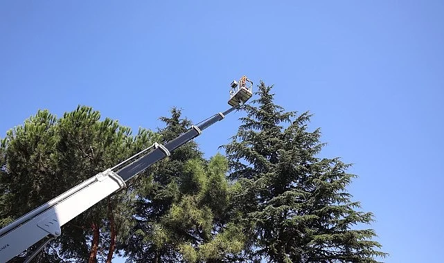 Osmangazi’de Yeşil Alanlar Titizlikle Korunuyor