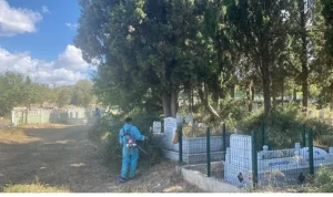 İzmit’te mezarlıklar Büyükşehir eliyle güzelleşiyor